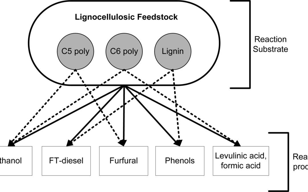 Production of Biofuels and Biochemicals from Lignocellulosic Biomass