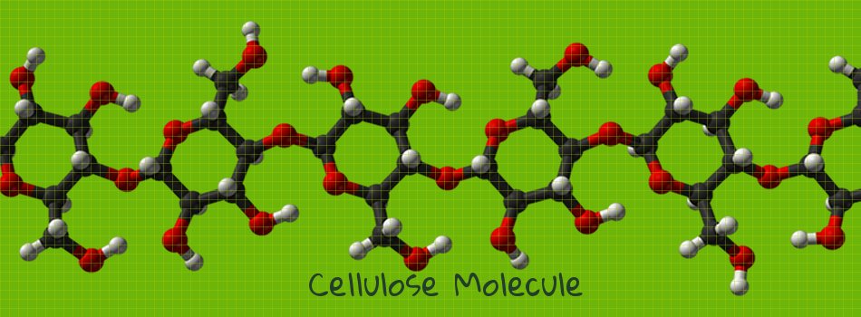 Cellulose – Biobased Platform for Chemicals