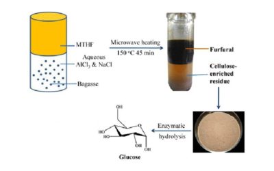 Researchers Developed A Process for Simultaneous Production of Furfural and Hydrolyzable Cellulose