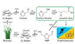 Levulinic Acid Production Pathways from Biomass